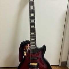 楽器 弦楽器、ギター