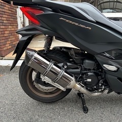 お値段少し下げました！ホンダフォルツァ250の画像