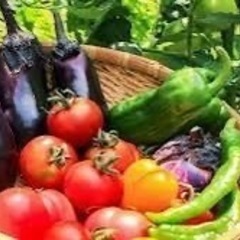 夏野菜のおすすめの食べ方教えてください🎵