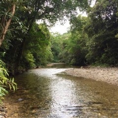 夏は川へ７月７日１２時日曜日　初川遊び行きませんか？？