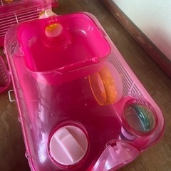 ハムスターハウスの画像