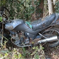 YAMAHA バイク