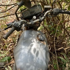 YAMAHA バイクの画像