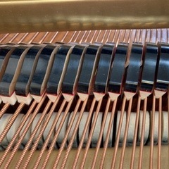 ヤマハG2A1961年全弦（ドイツ）ハンマー（ドイツ）、鍵盤、ダンパー交換済の画像