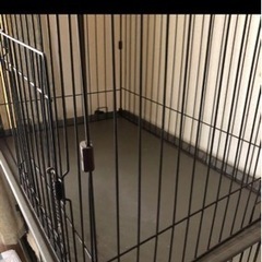 犬のゲージ
の画像