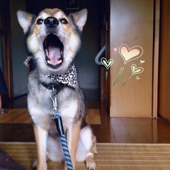 アニマルコミュニケーション♡動物の気持ち通訳します