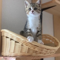 トイレやカバンなど一緒にお渡しします。