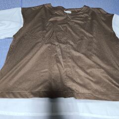 シャツ　茶色(4L)、水色(LL)