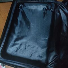 キャリーケース ミントグリーン Mサイズの画像