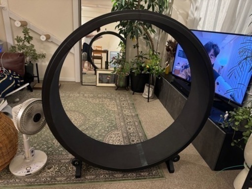 【受付停止中】キャットホイール 直径120cm
