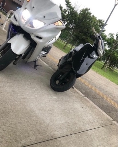 ZRエボリューション  今月中まで！！