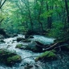渓流っていいですよね
