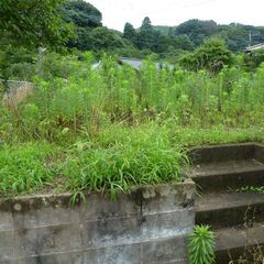 防草工事、格安空地、畑、便利屋、防草シート、