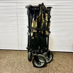 FWB-008 キャリー　訳あり
