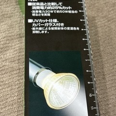 エコクール ハロゲン シャインの画像