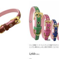 大型犬ワンちゃん首輪/ブラウン2XL（新品）の画像
