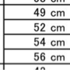 FUJI TRACK ARCV フレームセット52サイズ　おまけ付の画像