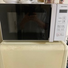 家電 電子レンジ