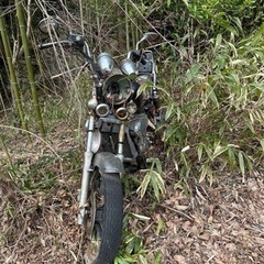 カワサキ　バイク
の画像