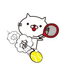 【岡崎】硬式テニス 男子メンバー募集