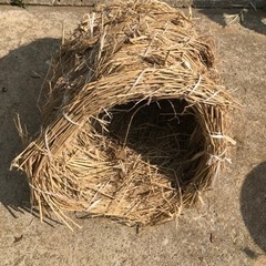 小動物ハウス　巣生活雑貨 家庭用品 ガーデニング