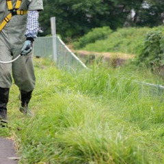【未経験OK】草刈り作業　　　　　佐野市多田町