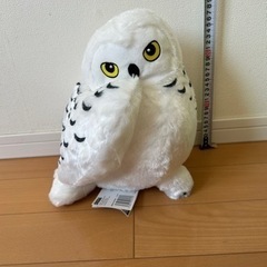 ハリーポッター　フクロウ　