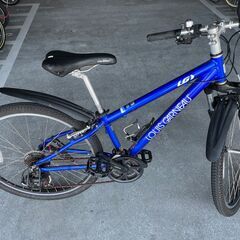 ルイガノ　26インチマウンテンバイク LGS-M8の画像