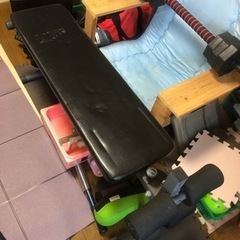 スポーツ フィットネス、トレーニングの画像