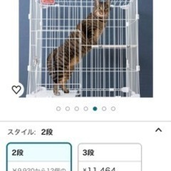 キャットケージ