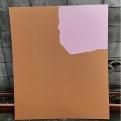 撮影用 ピンクのアクリル板 1枚の画像