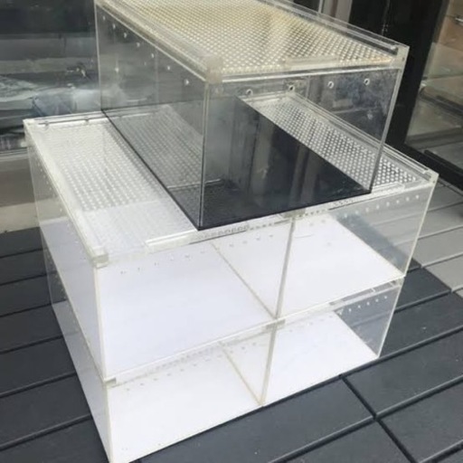 爬虫類　レプタイルボックス