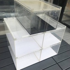 レプタイルボックスの中古が安い！激安で譲ります・無料で