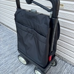 ショッピングカート(*ﾟ∀ﾟ*)の画像