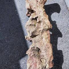 珍品　岩　サンゴ礁風　鍾乳洞風　レア品　ビンテージ系の画像