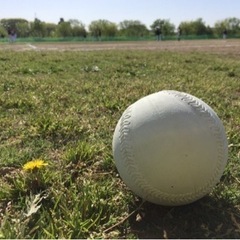 三郷市内、軟式ソフトボールチームメンバー大募集！ - スポーツ