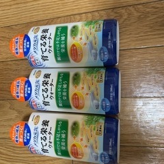 ロカボーイの画像