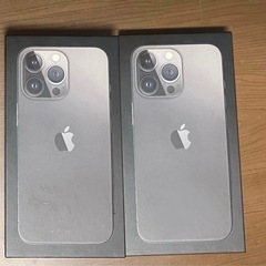 ✨新品タグ付✨エミリオプッチ 女優オーラ溢れる美シルエットワンピース 42 XL エミリオプッチワンピース