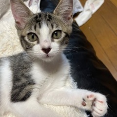 生後3ヶ月男の子 応募停止
