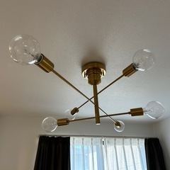 unico 【別注カラー】Astre ゴールド