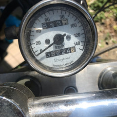 スティードの画像