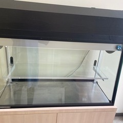 業務用 冷蔵ショーケース ホシザキ
の画像