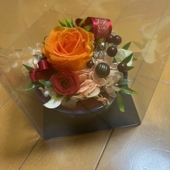 ブリザーブドフラワーの画像