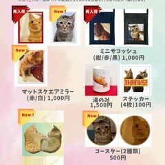 8/31 ことうたこん【箏×クラシック】コンサート、予約受付中！ - コンサート/ショー