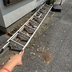 長いハシゴの中古が安い！激安で譲ります・無料であげます