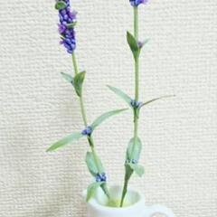 ✨樹脂粘土教室（クレイフラワー）✨