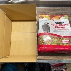 ペットショップでのお仕事ですの画像
