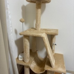 猫タワー