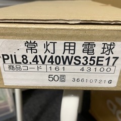 電球  49個入り