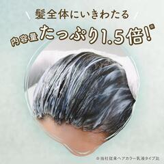 パルティ カラーリングミルク はなやかシリーズ （夢みるブルージュ） 黒髪用ヘアカラーの画像